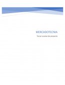 Mercadotecnia. Estrategias ‘P’ de plaza