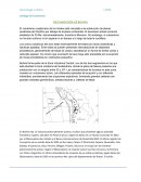 VULCANOLOGIA DE BOLIVIA