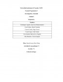 Investigación y Sociedad​