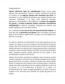 ANÁLISIS DE UN CASO REAL. CARBOHIDRATOS