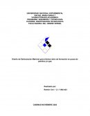 Diseño de Estimulación Matricial para eliminar daño de formación en pozos de petróleo[b] y/o gas