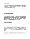 Practicas de pepsico