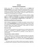FUENTES DE FINANCIAMIENTO DE INSTITUCIONES EDUCATIVAS