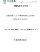 La enfermería como práctica social