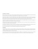 Homo Sapiens y el video-niño