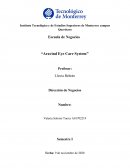 Aravind Eye Care System: Tipo de organización