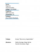 Ensayo “Recursos y Capacidades”