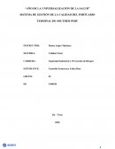 SISTEMA DE GESTIÓN DE LA CALIDAD DEL PORTUARIO TERMINAL DE SOUTHER PERÚ