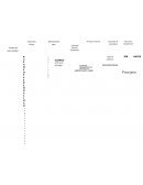Liderazgo positivo, Empodera y Principios Valores