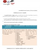 Contabilidad General, Sistemas y Procesos Contables