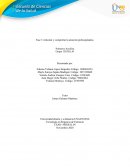 Fase 3 Articular y comprobar la atención prehospitalaria