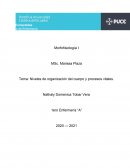 Niveles de organización del cuerpo y procesos vitales