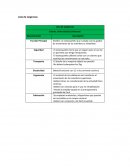 Informe valor económico