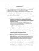 Teoría psicogenética piaget