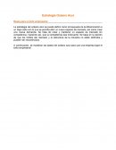 PIRINCIPIOS BLUE OCEAN