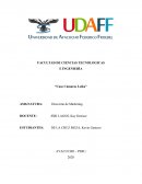 Análisis de producto y estrategias de lanzamiento para la Leica D-Lux 2