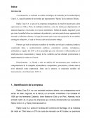 Analisis estrategico Ripley Corp S.A