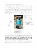 Traductor automatizado de palabras escritas a sistema braille