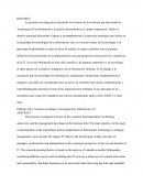 Las tecnologías de la información y su aporte a la gerencia estratégica