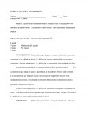 RÚBRICA ANALÍTICA DE DESEMPEÑO