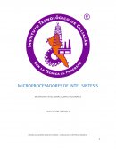 MICROPROCESADORES DE INTEL SINTESIS