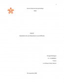 Ensayo areas de empresa y herramientas tecnologicas