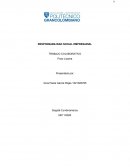 Análisis del caso Pozo Lizama
