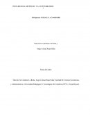 Inteligencia Artificial y La Contabilidad