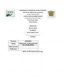 DERECHOS DE PROTECCION DE LOS MENORES