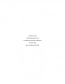 Acceso a la red. Fundamento de redes y seguridad