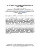 REPORTE DE CASO CLÍNICO