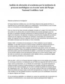 Análisis de afectación al ecosistema por la incidencia de procesos morfológicos en el sector norte del Parque Nacional Cordillera Azul