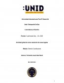 Actividad global de cierre resolución de casos legales