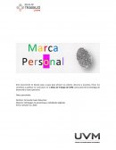 Estrategias de aprendizaje y habilidades digitales