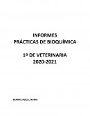 INFORMES PRÁCTICAS DE BIOQUÍMICA 1º DE VETERINARIA