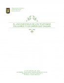 EL USO EXECESIVO DE LOS TELEFONOS CELULARES Y LOS DAÑOS QUE CAUSAN