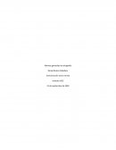 Normas generales de ortografía