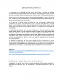 Legalización de la marihuana