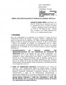 DEMANDA DE RECONOCIMIENTO DE VINCULO LABORAL POR DESNATURALIZACION DE CONTRATO CIVIL