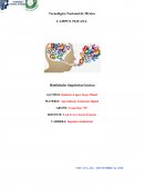 Habilidades lingüísticas básicas