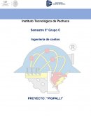 Análisis de capital pintura hecha con nopal