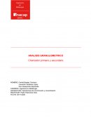 ANALISIS GRANULOMETRICO. Chancador primario y secundario