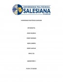 Laboratorio N1 Grupo 1 - practica lab 1 histograma