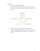 Análisis de brechas y mejoras en la cadena de suministro