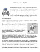 MEDIDOR DE FLUJO MAGNETICO