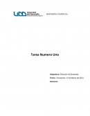Tarea Dirección de Empresa
