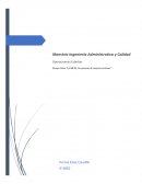 Ensayo Libro “LA META"