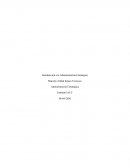 Empresa seleccionada: FALABELLA