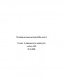 Procesos silvoagropecuarios y de servicio