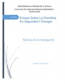 Ensayo sobre domótica